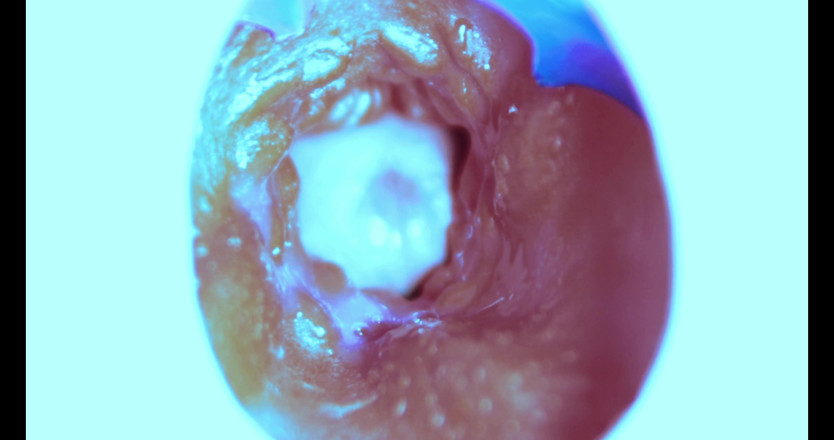 SEXY_GUYBEST: Aku dientot habis-habisan dari dalam! Kamera dalam!