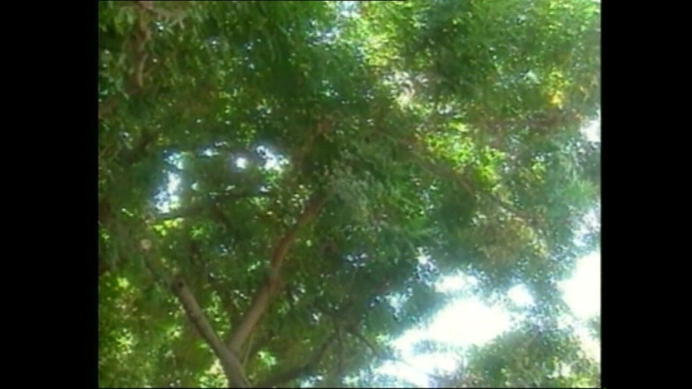 Forte porno TV xxx - (Just the best full movies): Alex e Katie si succhiano a vicenda