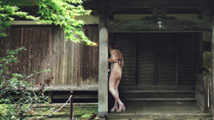 Pai-chan: Japanisches altes haus und Pai-chan