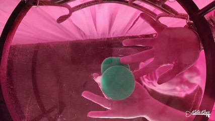 Kyla Keys: Een zicht vanaf de bodem