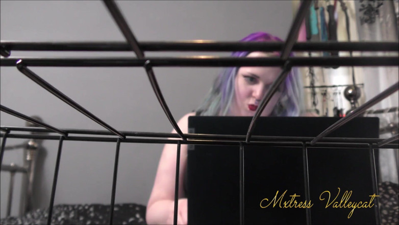 Mxtress Valleycat: Ignoring you while I cam with others