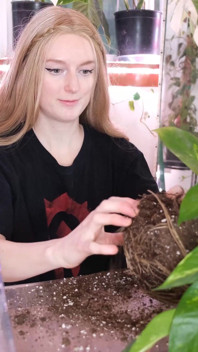 Pinkeln beim repotting