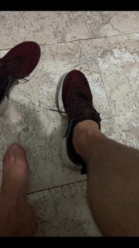 Pies Pies Pies