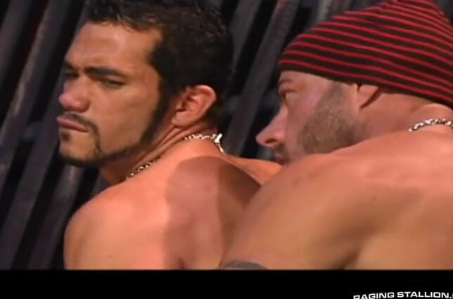 Raging Stallion: Sesso duro