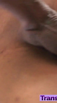 Obrovský černý pták hezký