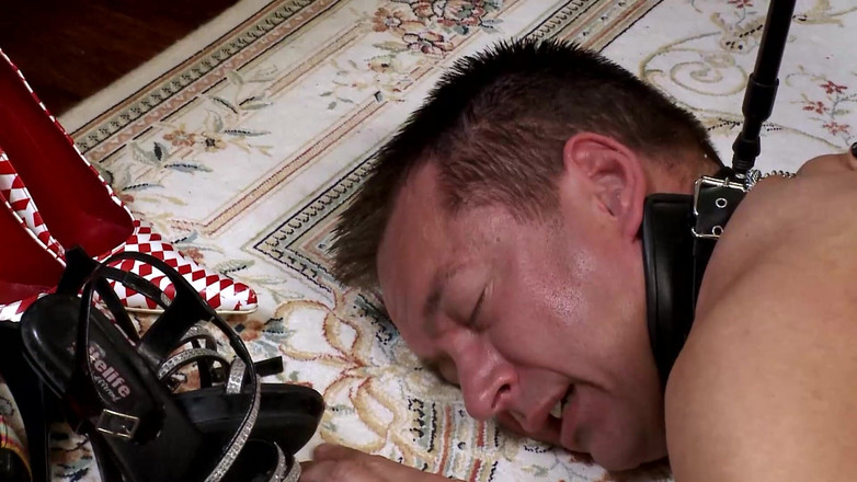 Absolute BDSM: Svalnatého chlapa v límečku dominuje žena v síťovaných silonkách a podpatcích