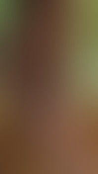 Animated 3D Gay Porn - a White Man Sucking Black Man's Dick