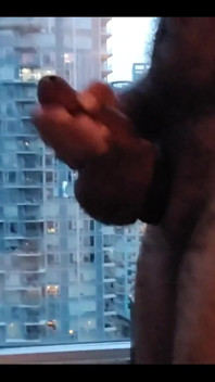 Stepdaddy Lobo
