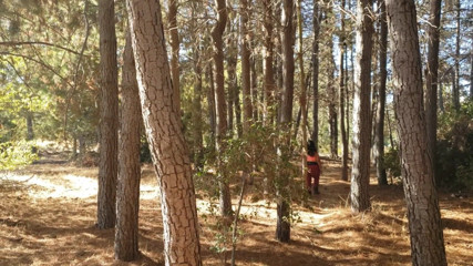 Riderqueen: Stiefmoeder met rode wandelende grote kont in het bos