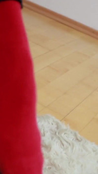 Baskets usés, chaussettes rouges et bas nylon sheer - taquinage de pieds décontracté