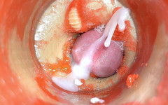 Creme sperm: Kamera V análním Děložním Čípku POV, Drobný Paroháč Od Obřího 'páru', Mrdka...