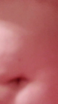 Boobies