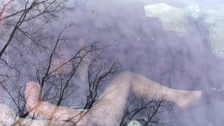 Popp Sylvie: Outdoor dildo action in my car