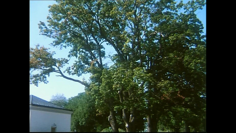 Hard Accademy: Polykačka mléka