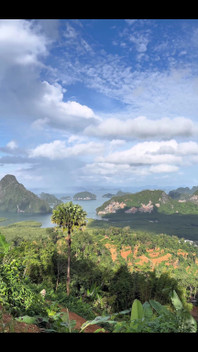This View