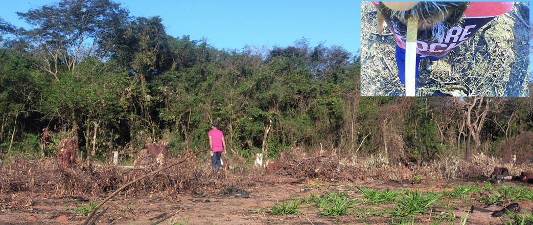 Stink HairyMale: Buscando un lugar en el bosque para correrme