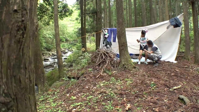 Raptor Inc: Video opalovacích krásek v přírodě pořízené manažerem kempu 1