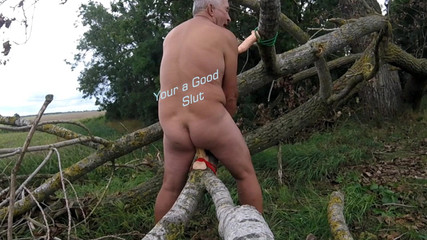 Andy: Camminata 53 2025