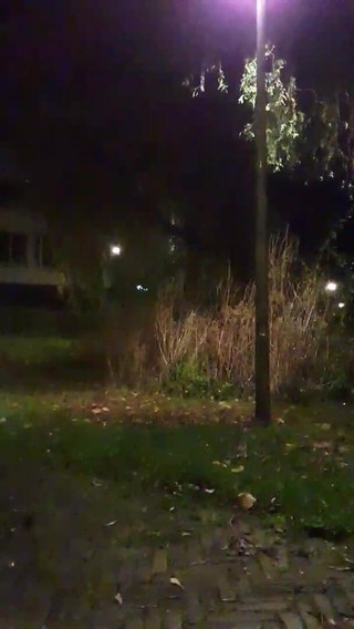 Slutboyben: Slutboyben cam4 brainfukked ao ar livre porco eu completo público...