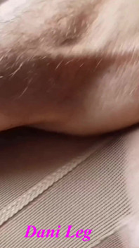 섹시한 다리를 보여주는 탄 팬티 스타킹을 입은 Dani_leg
