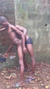Bush Meat