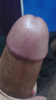 Pulă desi