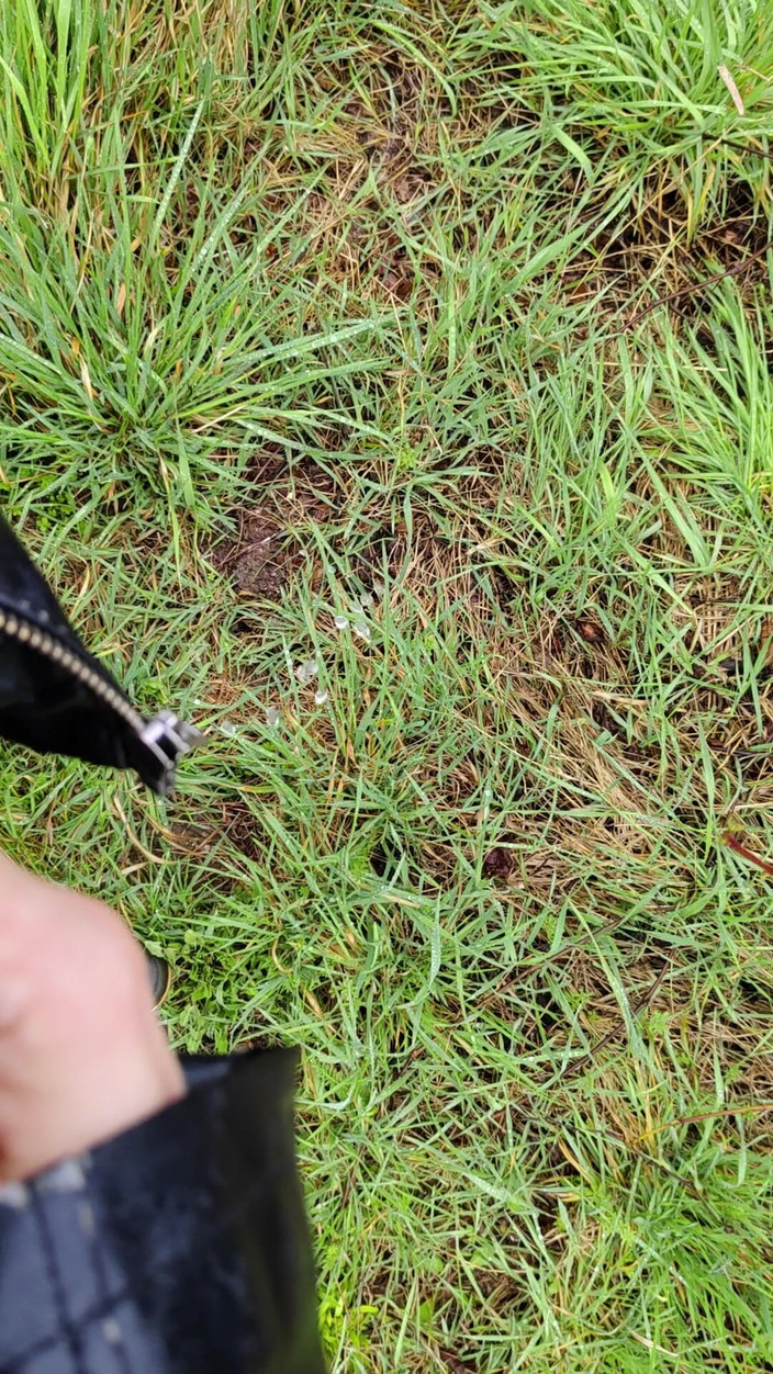 Bayer911: Outdoor-pisse im regen