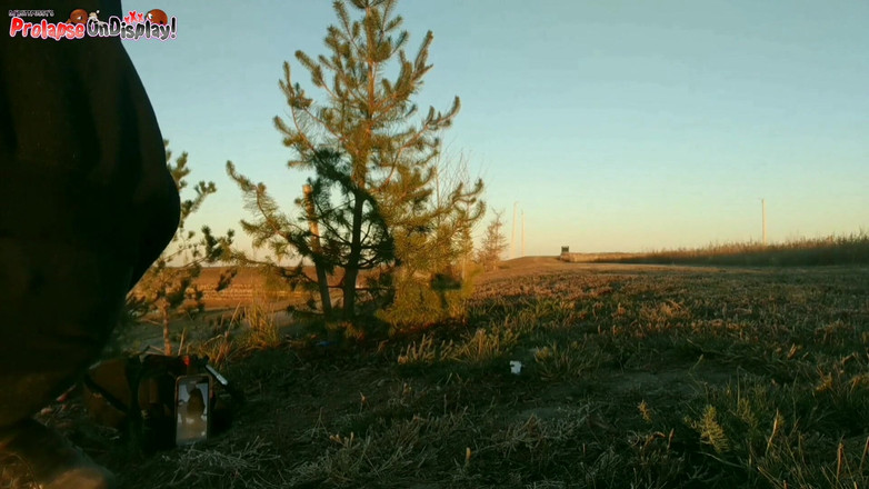 Ass Monkey: Destroyed Asshole