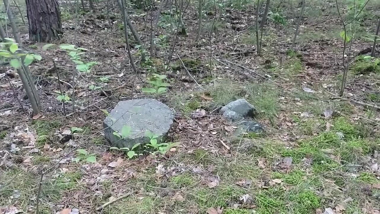 Georg: Beyefendi amımı ve göt deliğimi izliyor. Sonra işememi izliyor.