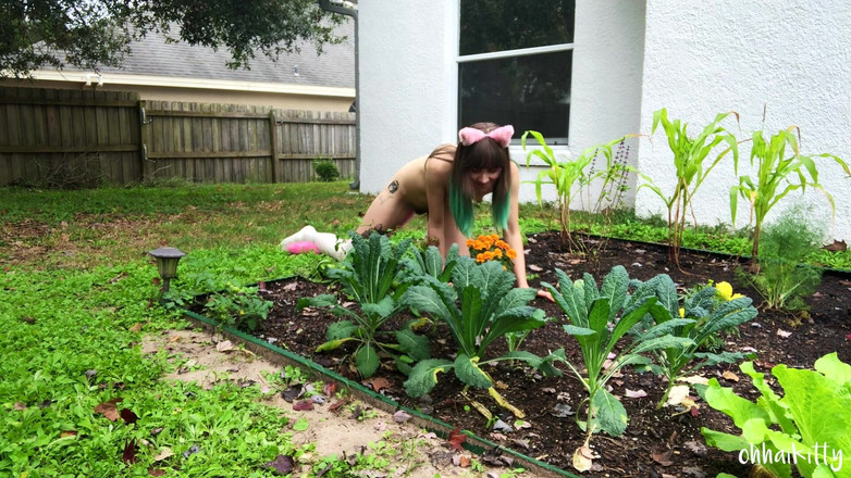 kactus kutie: Kitty Kums in de kale