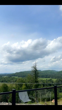 Cupola a specchio nel bosco