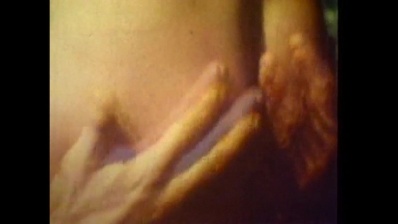 Vintage megastore: Putain De Poulain Sauvage