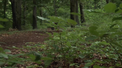Backdoor Films: Horny girl gets fucked outdoors by her lover