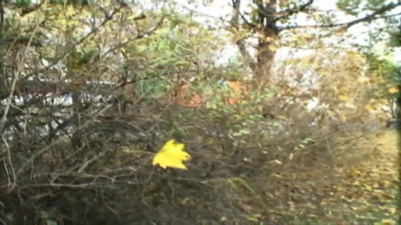 XXXEROTICONLY: Teenenger Im Park Gefickt Und Im Mund Gespritz