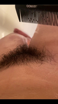 So Bushy I Can Run a Comb Through It
