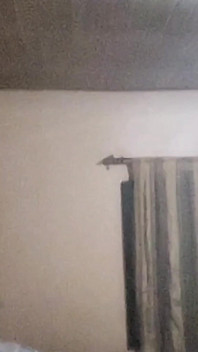 Thotie 19, nggak sabar dudukin kontol aftet class