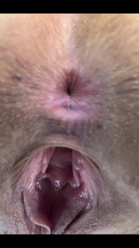 I Are so Horny