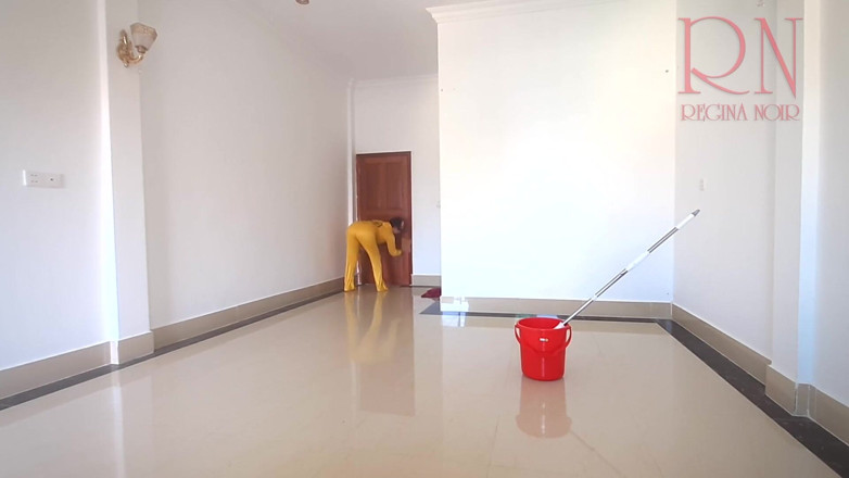 Regina Noir: Naked maid cleans office space. Maid without panties.
