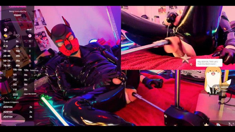 Roman Heart: Nicolaus Rubber Show with Pet Mask