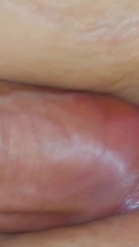 Sexilvenia Close-Up