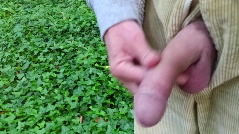 Rockardglans: Big Uncut Cock Out Walking, Pissing, Wanking in the Woods...
