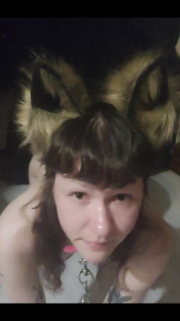 Im Your Pet
