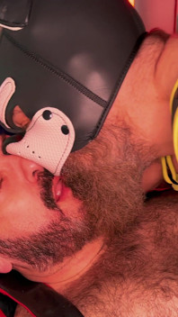 An Obedient Puppy 1 4K