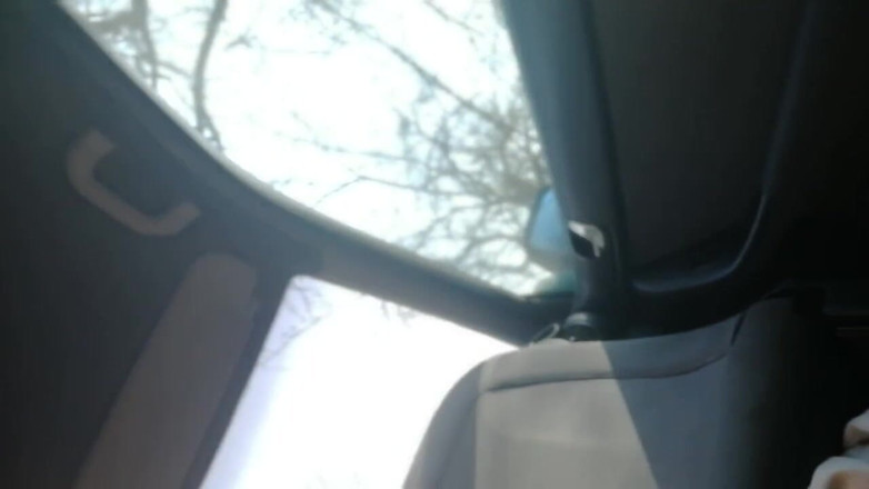 Davids secret: Carsex
