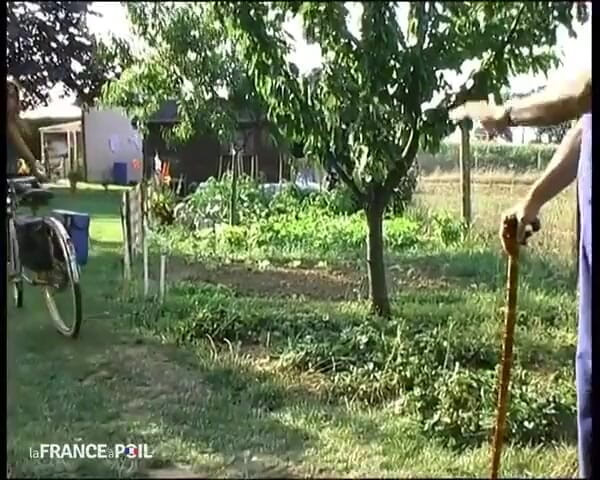 French Wives Offered: Una ragazza dispettosa si fa il nonno e il suo...