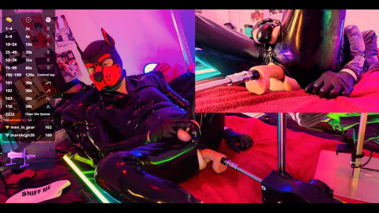 Roman Heart: Doggy Rubber Show