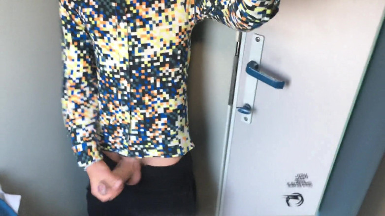 Idmir Sugary: 電車のトイレでオナニー