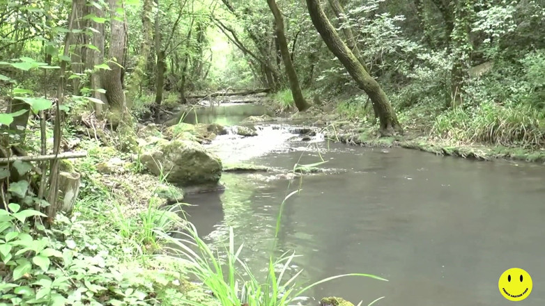 French Amateur Porn: 32 year-old French slut ass fucked by the river
