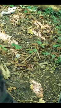 Bu ve gelecek hafta heyecan verici içerikler geliyor