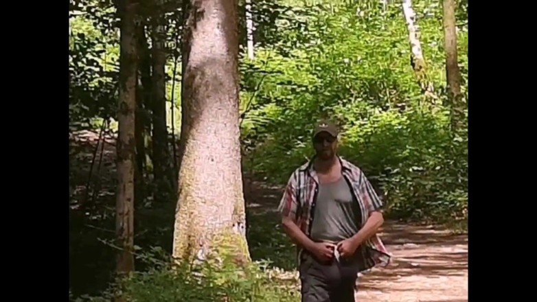 Monster_Meat_: Into the woods...